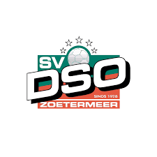 Logo Sv DSO